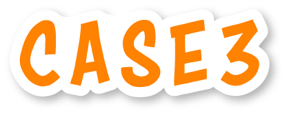 case 3